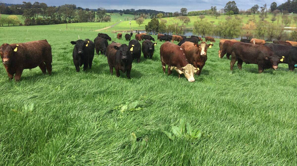 Steer trials into the future