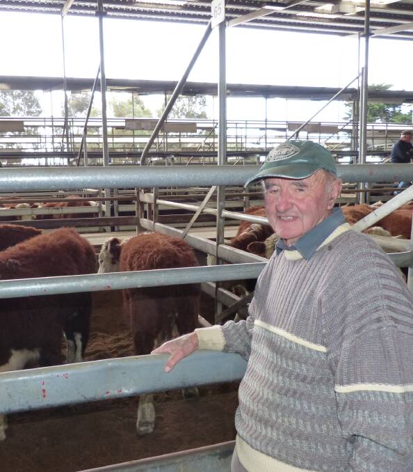 While Leo Diggan's Hereford steers don't fit the category of the EYCI, they did sell to the equivalent of 495c/kg lwt in Bill Wyndham & Co's annual spring sale, Tuesday.
