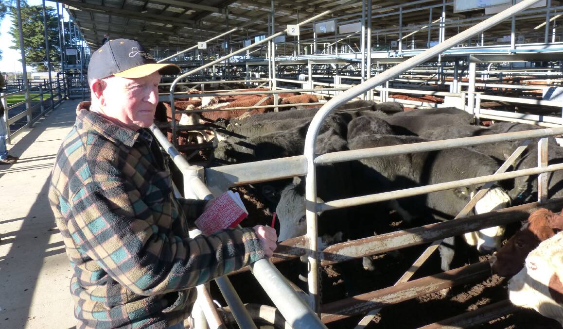 Graham (pictured) & Glenda Hopkins are shifting into Bairnsdale, and offered 22 yearling Hereford & Angus-Hereford steers at Bairnsdale, Friday. Graham was happy with their $1668 per average.