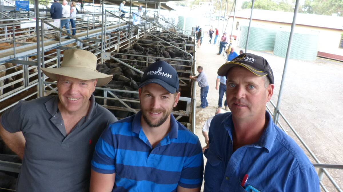 The Buchan Station team, Principal, Bryan Hayden, son Sam, and farm manager, Richard McAuliffe with the large run of Buchan Station steers in the background.