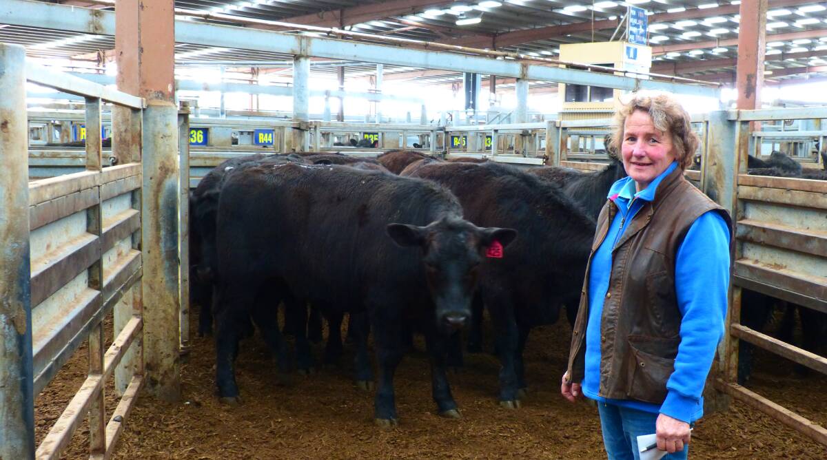 Anne Bullen, Quaterford Angus Stud, Mt Duneed, attributed the top quality of their cattle to her husband as she was overseas for two months. Maybe it was the other way around. These 11-12 month steers made $1370 at Pakenham on Thursday.