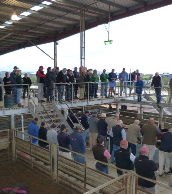 REMEMBERING: VLE's livestock manager Scott Ronaldson presents a great eulogy before a minute's silence was held for well-known livestock carrier Bob Edyvane, at Pakenham, Monday. Bob died after a short illness last week.