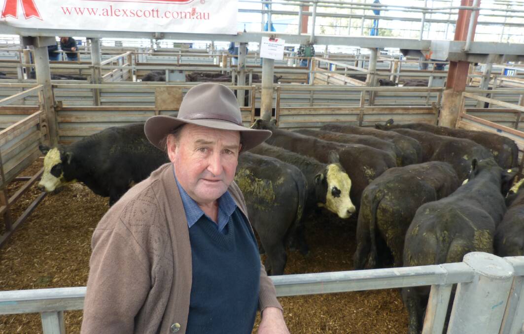 Max Fleming, MR&AM Fleming, sent 25 yearling Angus & Hereford steers from Nambrok to Pakenham last Thursday. Selling to strong demand, they sold between $1420-$1755.