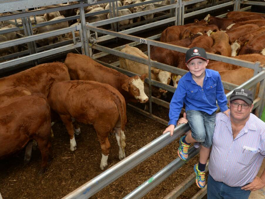 David Brewer, Brewer Beef, Tallangatta with young Henry, in front of two pens of their Simmental cross steers selling to $1550 and averaging $1440.