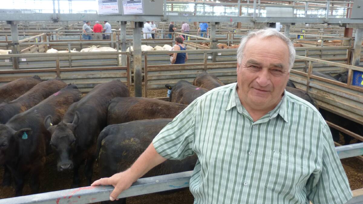 Michael Lizza is one of the few remaining inner Melbourne farmers, selling Angus steers from his Ferntree Gully property for $1390, at Pakenham, Thursday.