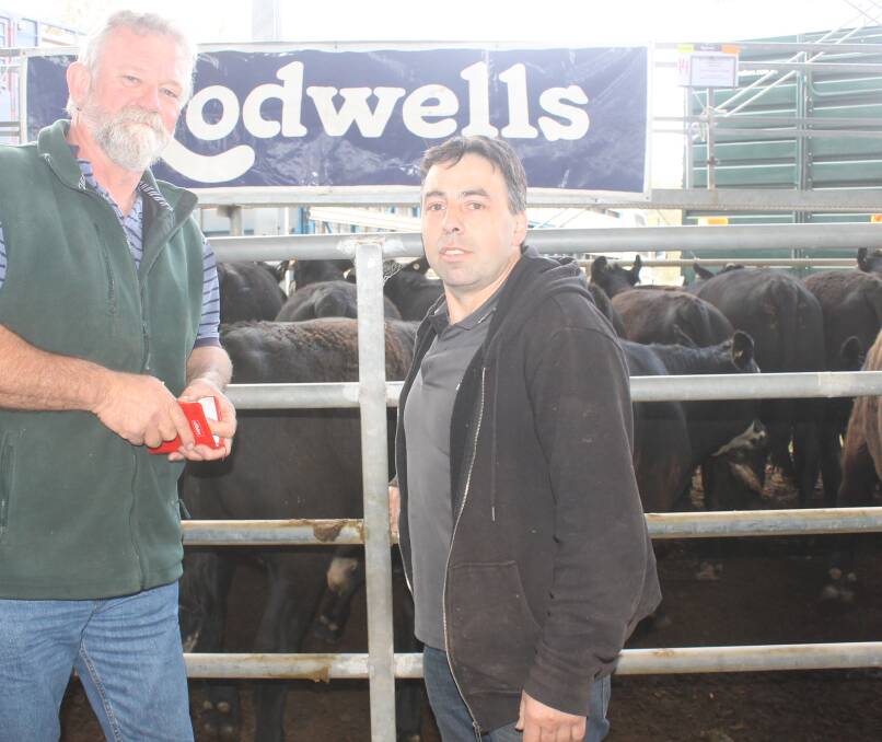 Richard Hartley was at Yea last Friday with Sam Fialla, Sam's meat, Yarra Junction. They purchased steers at Yea, where quality was very good, and want to buy more.