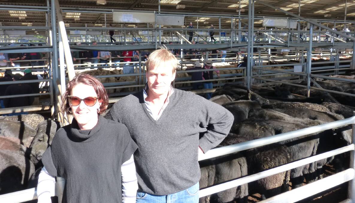 Helen and Chris Nixon, PC Nixon & Co, Orbost, sold 106 Angus steer calves from $1100-$1365, in a very good day at Bairnsdale, Friday.