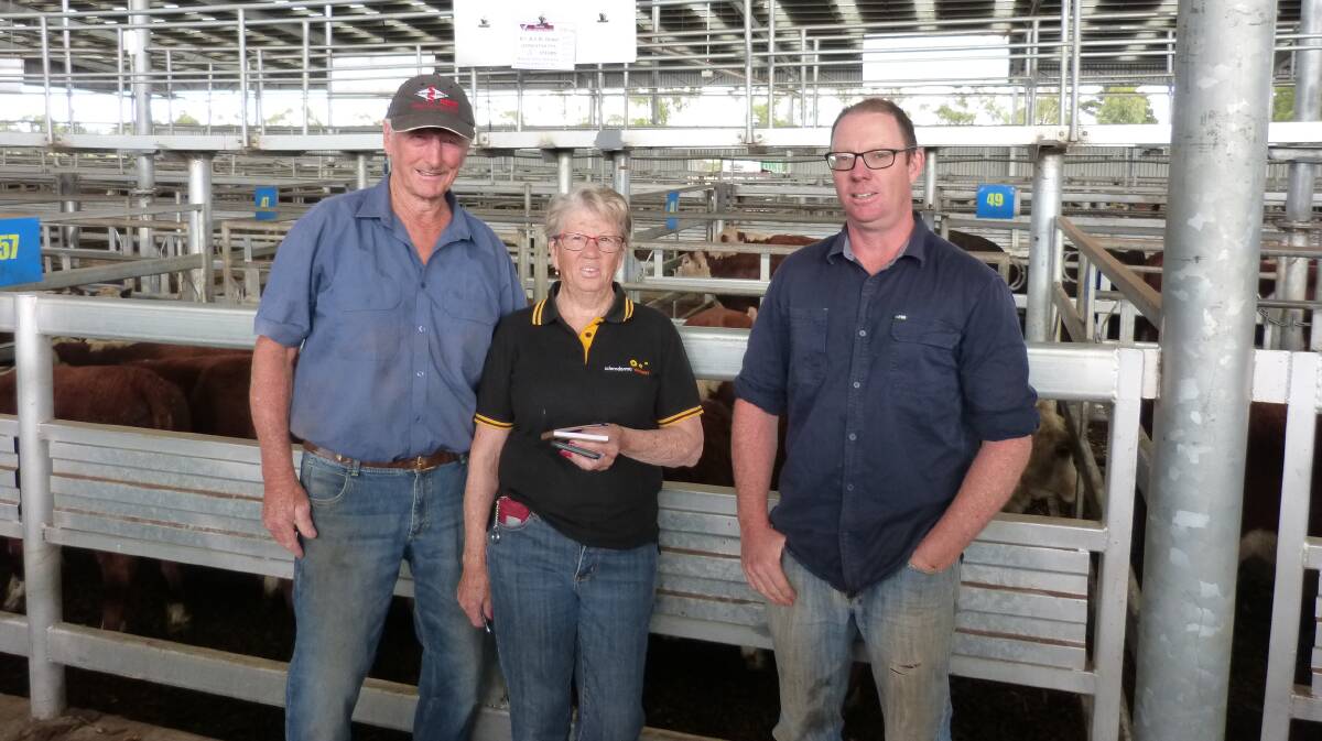 Vera and Robert Dowell, Leongatha South, were discussing the sale of their 46 Heferord steers with friend, Kevin Drislin (left), at Leongatha, Thursday.