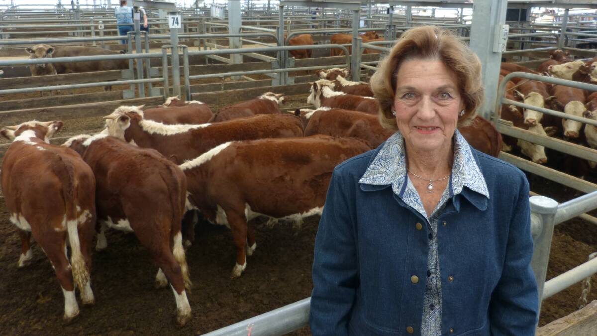 Mrs McFadden, "Lowana", Kilfeera, sold these Lowana & Sugarloaf blood Hereford heifers for $840 at Wangaratta, Friday. Prices for Herefords were subdued.