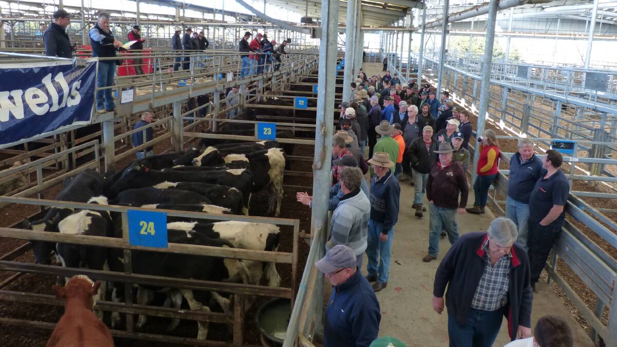 New laws: The scene at the Leongatha 
store sale last Thursday, but is this 
a 'bio-secure' area?