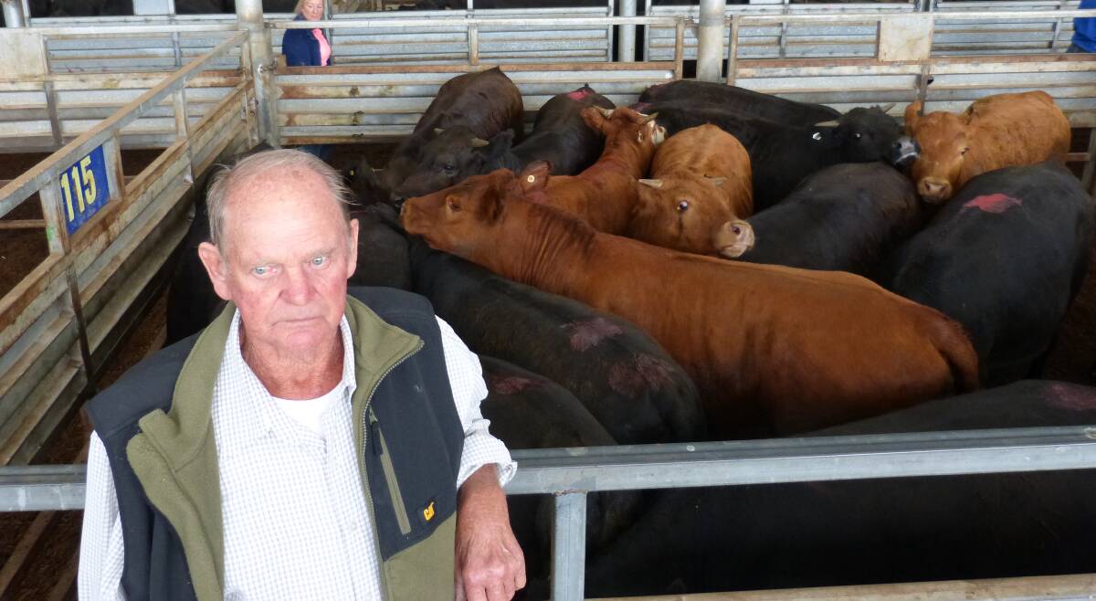 Keith Couch, Glen Forbes, sold these top quality vealers at Pakenham, on Monday, in a dearer market. Mr Couch's calves weighed up to 490kgs, and reached 326c/kg lwt.