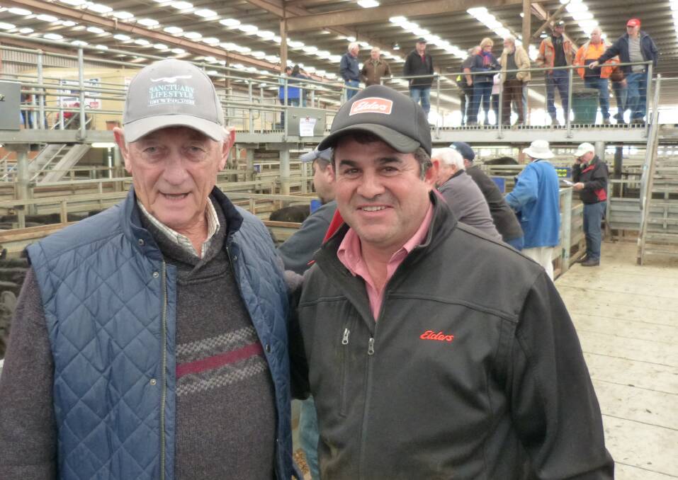 Andrew Harmann was a volume buyer at Pakenham, Thursday, purchasing over 100 Angus steers with his agent, Carlo Toranto, Elders. Elders yarded 1000 quality bred cattle.