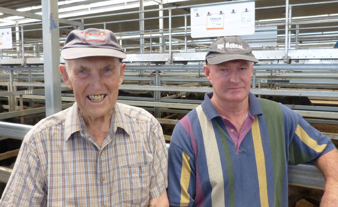 Jack, left, and Andrew Hallinan, Jingellic, have plenty of grass and purchased steers weighing 334 and 277kgs, to solve their problems.