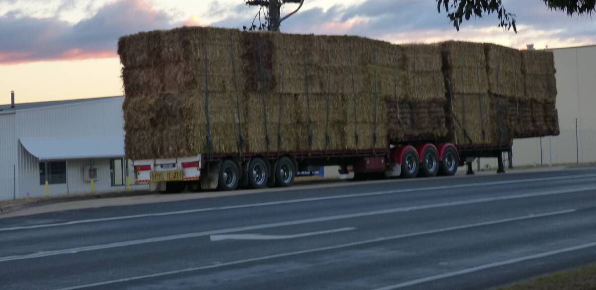Ready to go: Awaiting the prime mover, 
this load of hay at Bairnsdale was one 
of several on the road on Tuesday.