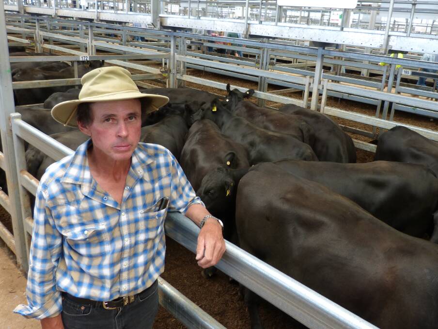 Michael Carey, Chiltern, sold 68 Angus heifers, PTIC to calve Feb-Mar, to Rennylea Bulls. These sold from $2200-$2310. His 16 calved heifers sold fro $2725.