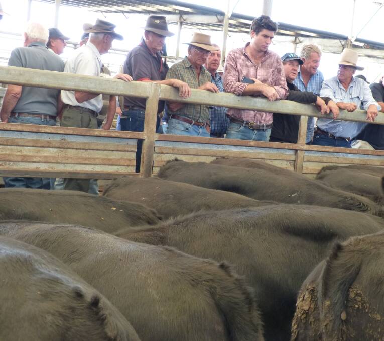 Some of the buyers who influenced a reasonable outcome at the Leongatha store cattle market last Thursday.