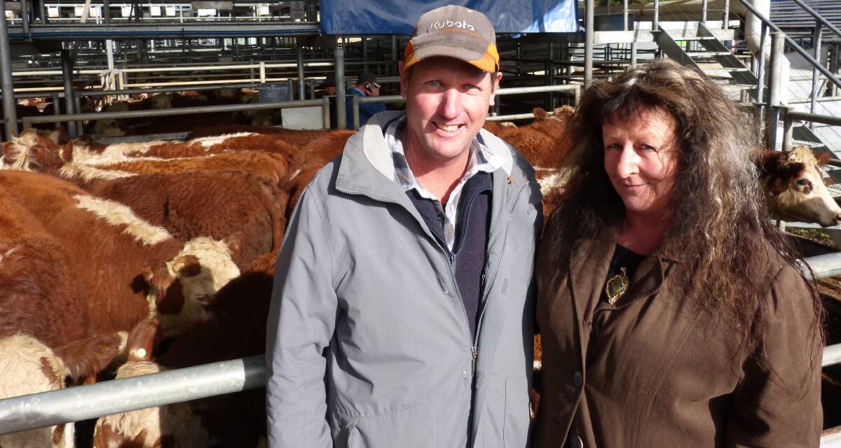 Good offering: Phil and Kerri Geehman, 
Ensay, offered a pen of Hereford bullocks 
in the opening pen of the Bill Wyndham 
& Co annual spring sale last Tuesday.