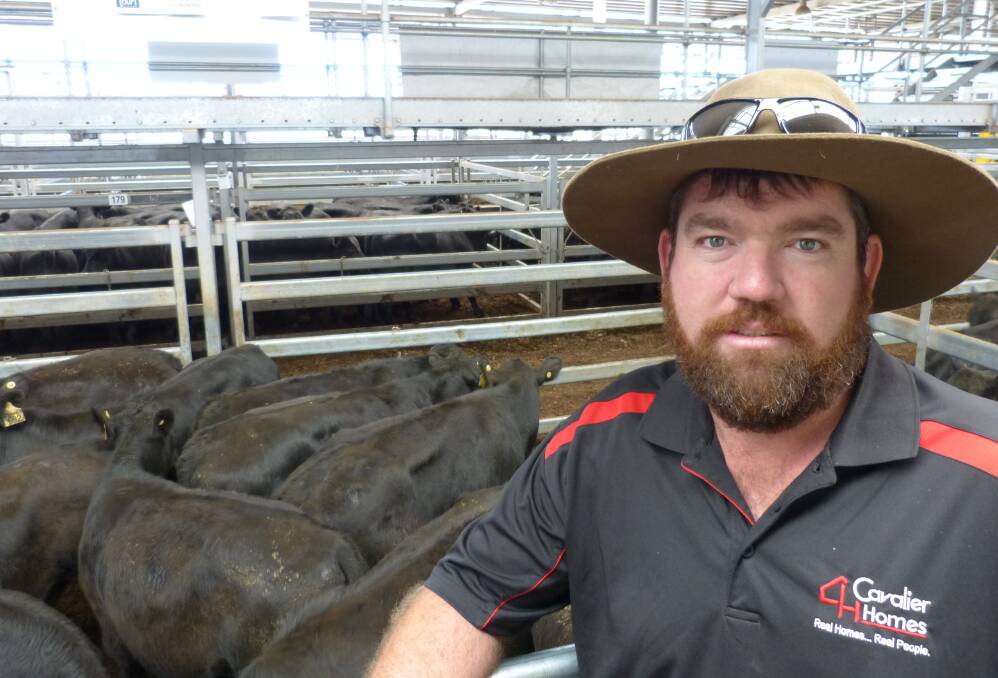 Dale Paddle, PAddle & Hodgkin, Tallangatta Valley, sold 40 Angus steers at Wodonga to $1190, and he was very happy with the results.