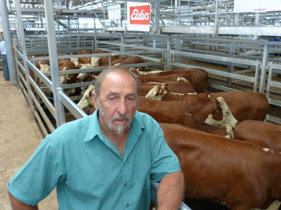 Bill, W&M Goldsworthy, Eurobin, sold this pen of Hereford heifers, 2.5 years, PTIC to Cloverbank Hereford bulls at Wodonga, Friday, for a market top of $2560.