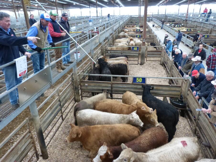 These grain-fed cattle are destined for the domestic market. Being sold at Pakenham, or any saleyard, how can they be declared as bio-secure?
