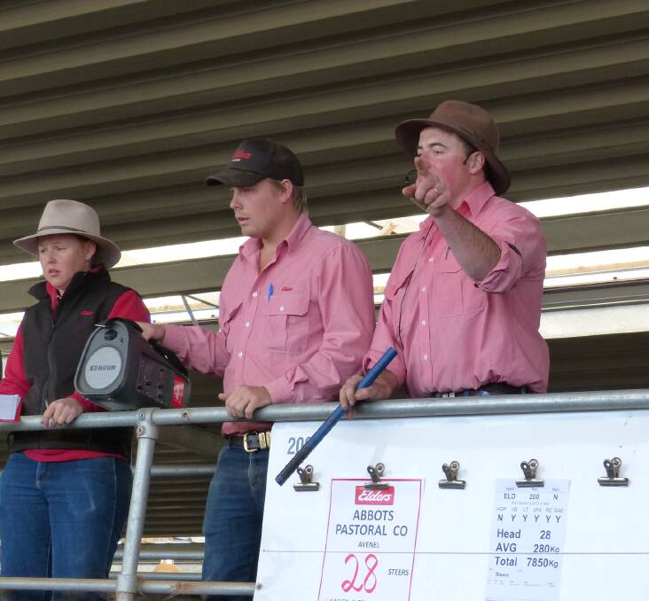 The Elders selling team in action at Wodonga's Barnawartha saleyard, last Thursday, where quality was generally plain in the market of 4500 head.