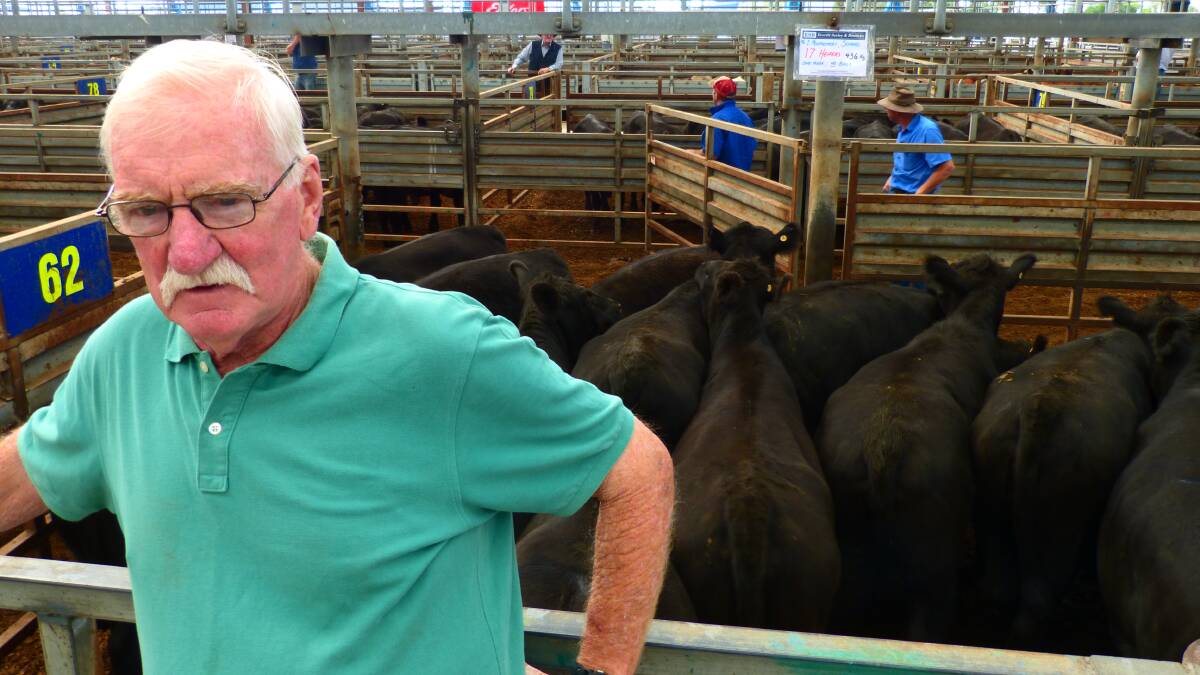 Despite "the look", Ian Montgomery, Sommers, was very happy with the sale of his 17 yearling Angus heifers that sold for $1420 at Pakenham, Thursday.