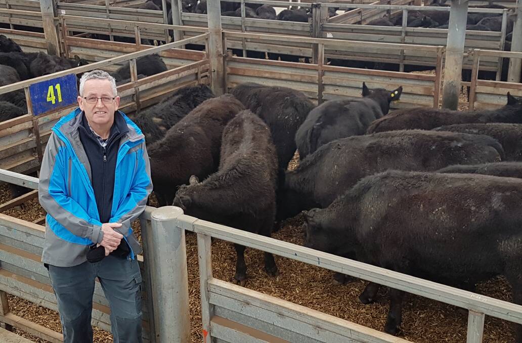 Brett Hutchinson was happy to sell these Angus steers in the Pakenham store sale last Thursday, as prices were better than at Monday's fat cattle market.