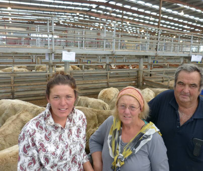 SELLING: Lesley (left), Susan and Tom Harsthorpe, Tanjil South, with Lesley's Charolais calves at Pakenham. The 28 steers sold to $920 and 31 heifers to $765.
