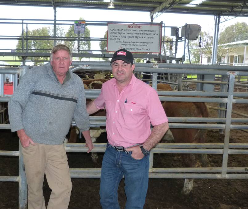 Gary Marshall (left), Jarrawood Herefords, Yea, and Elders Pakenham agent Carlo Toranto watched Gary's 92 steers sell to $1440, and 56 heifers to $1350, Friday.