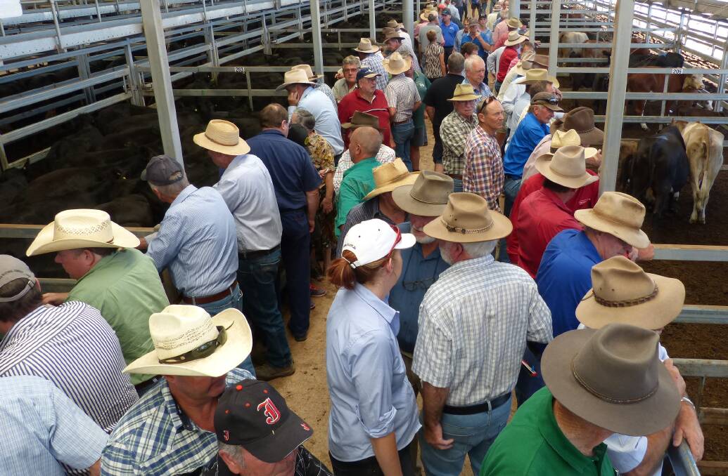 There was a good crowd at Wodonga, although buyers of feeder steers and heifers, struggled to go the pace against local district producers.