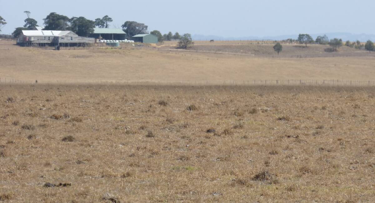 Barren paddocks like this are common in East Gippsland.