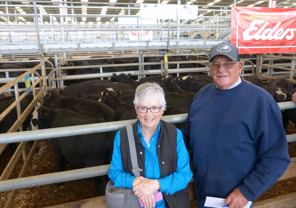 John & Nola Ross, Omeo Station, made the decision weeks ago to send their annual run of weaned calves to Leongatha. Good decision, as prices were up to $100 dearer.