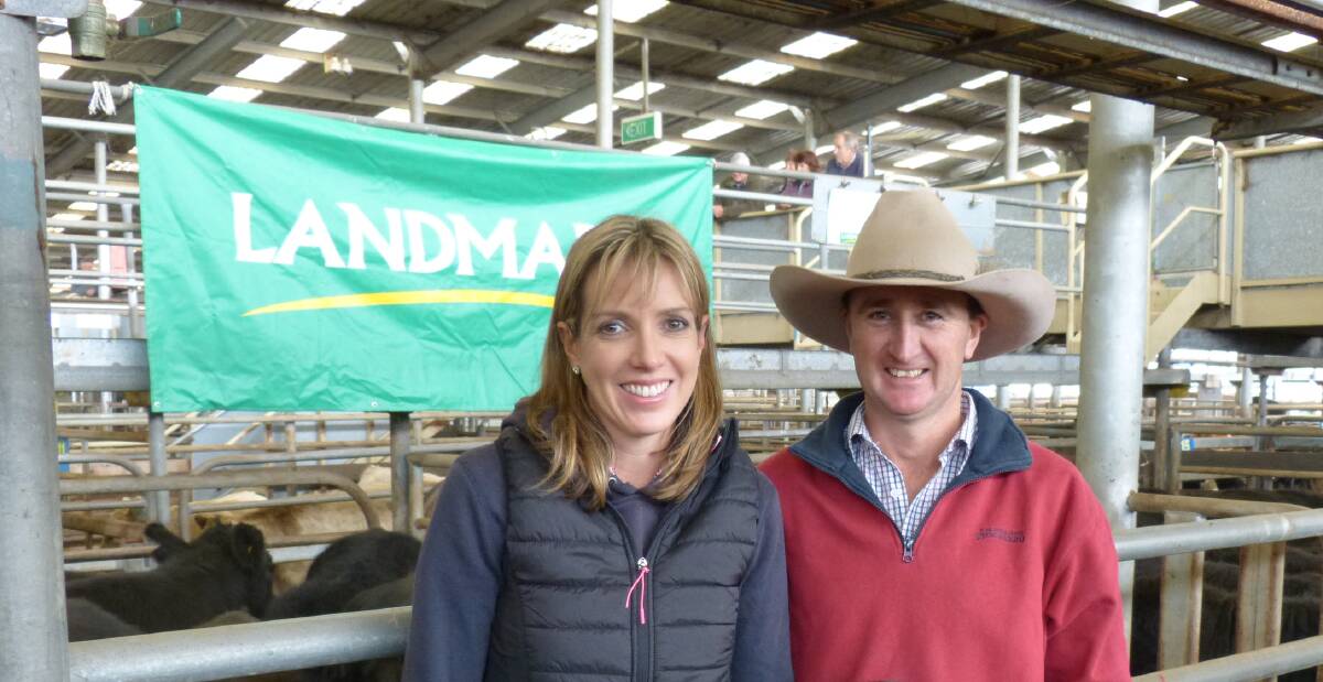 Jarrod and Allison Blackshaw were happy with their prices two weeks ago, so they sold another 110 yearling Angus steers this sale. Their steers were equal to at $1760, selling from a base of $1300, to average $1647.