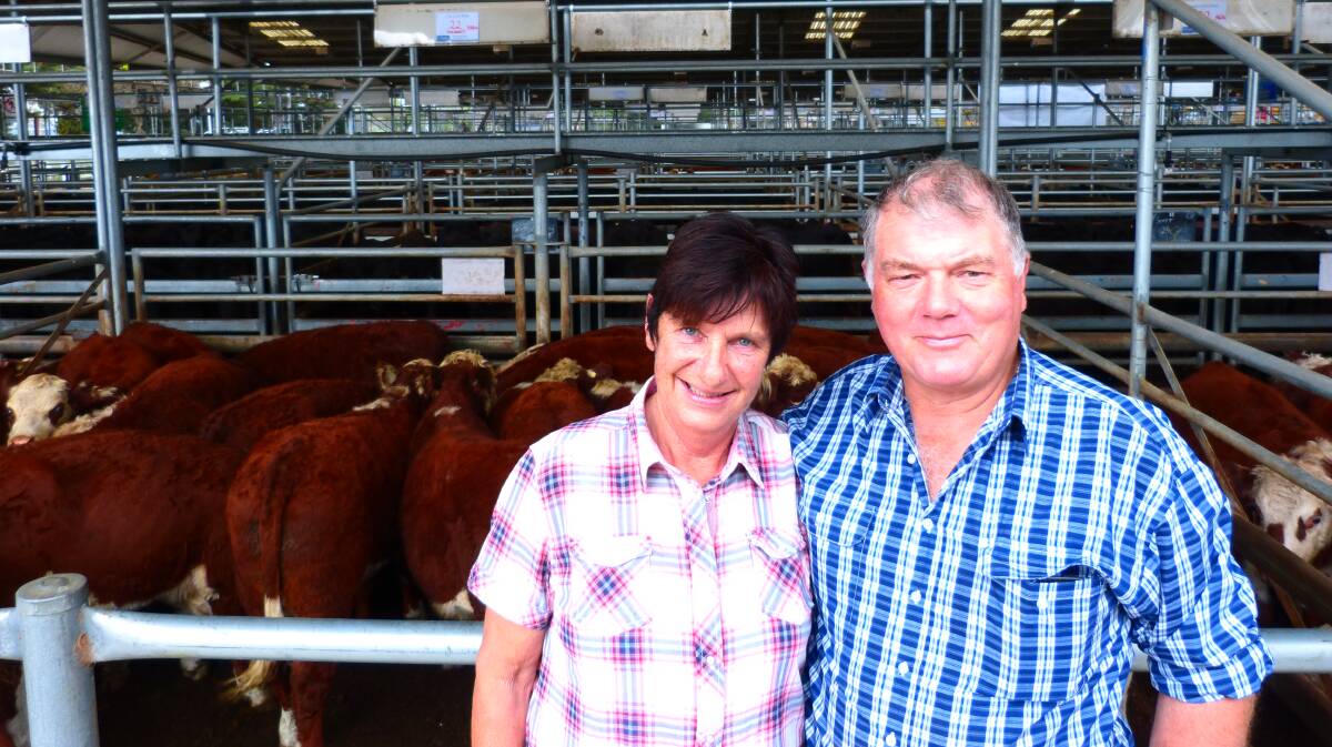 Chris and Janine Cooper, Wulgullmerang, sold 39 Hereford steers from $1320-$1330, which equated to 393 and 408c/kg lwt. This was a great result on the day.