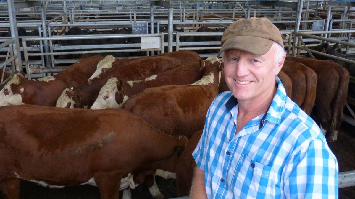 Peter Henderson, Gelantipy 7 Orbost, sold 25 yearling Hereford steers at Bairnsdale, from $1530-$1600, and 18 younger steers for $1280, in another large yarding.