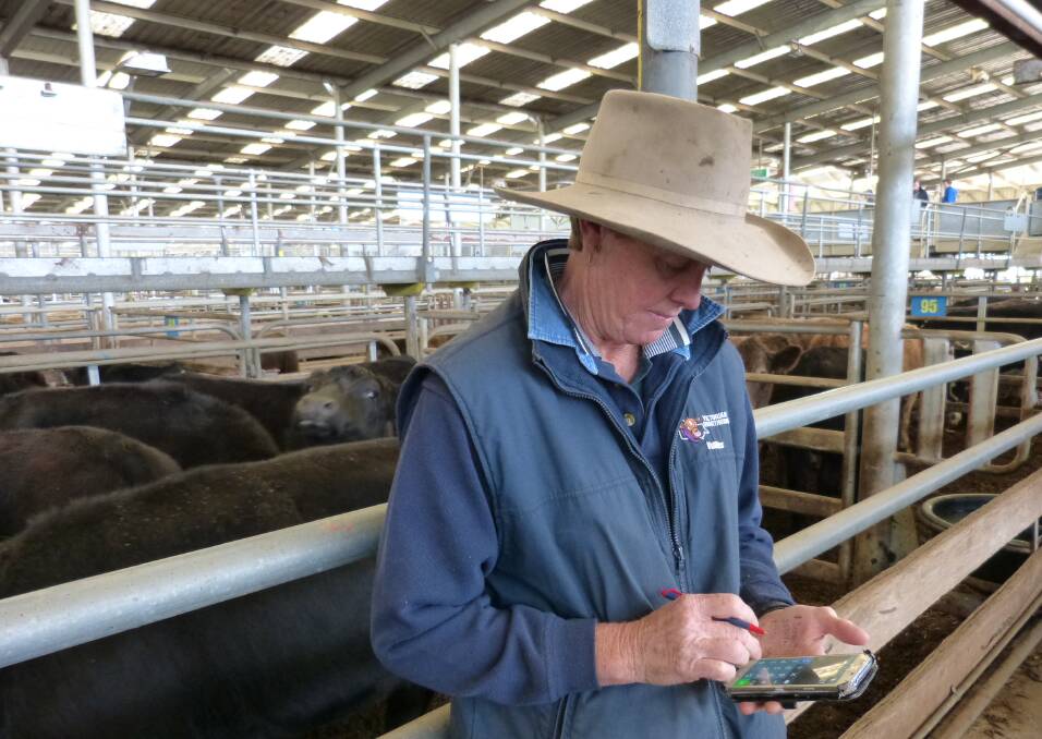 Rebecca Vuillerman, Vuiller Shorthorns, Yanakie, was crunching the numbers after the sale of their 22 Shorthorn steers at Leongatha, Thursday. The steers sold from $1070-$1300.
