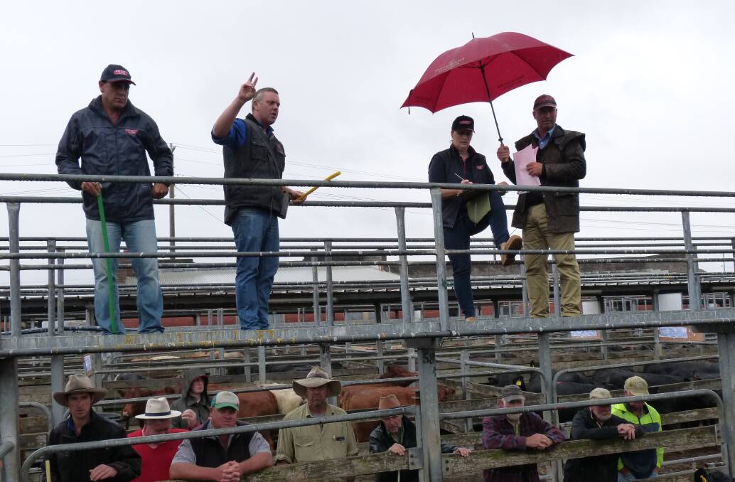 Neil Darby leads the Alex Scott & Staff at the Warragul trade sale, last Wednesday. While it didn't rain much, it bought out the umbrella.