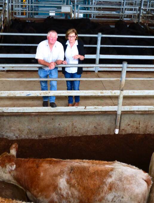 Ian and Denise Lester traveled from King Island to buy cattle at Bairnsdale, Ian has been a big supporter of Gippsland cattle, having come from Foster many years ago.