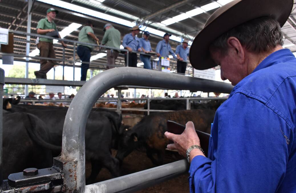 Henry Dundas writes one of his numerous purchases into his book at the Rodwells & Landmark, Upper Goulburn Rivers annual Blue Ribbon weaner sale at Yea.