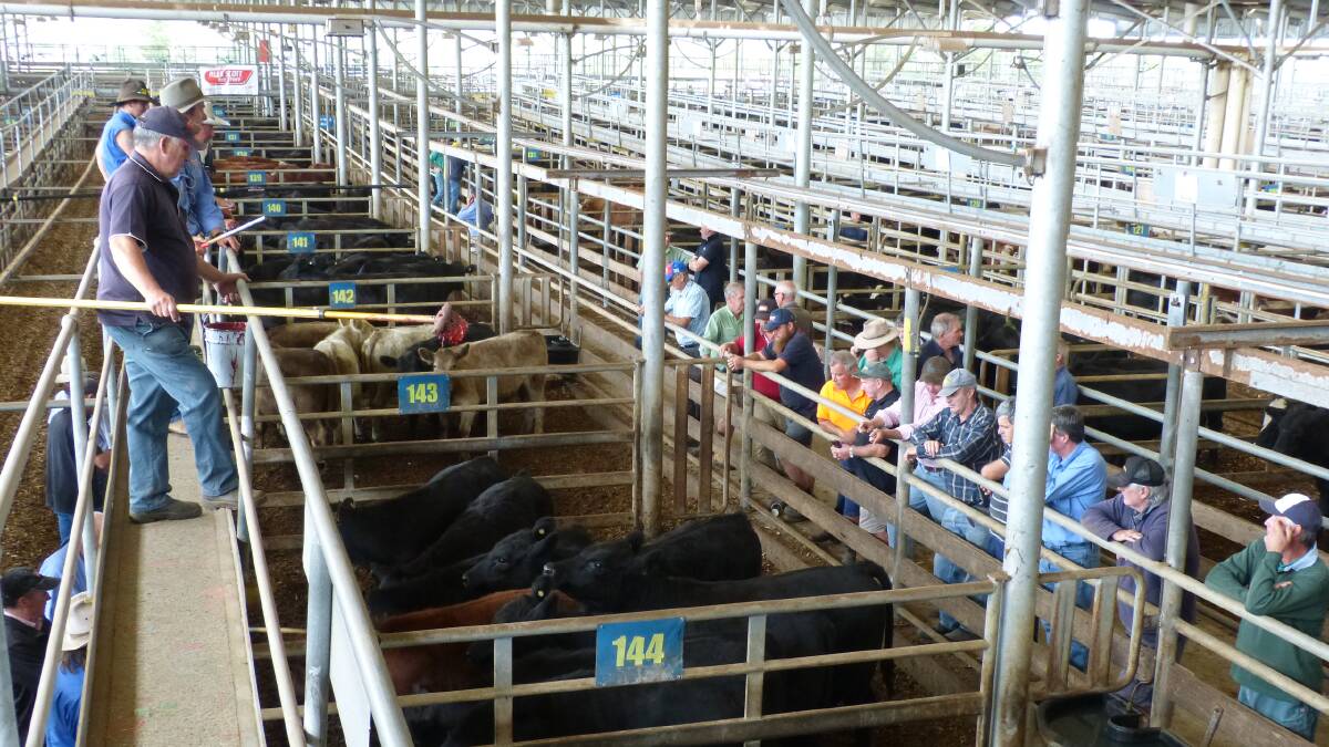 This was not all of the crowd at Leongatha, Thursday, but it does give some indication of the lack of competition at this sale. No grass, no buyers, was the best way to describe it.