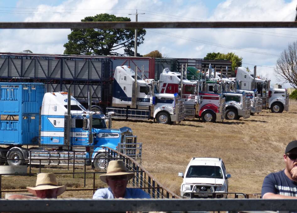 It is always a good sign when trucks are lined up like ducks in a row, prior to the start of any sale. This was a positive sign for the annual Mountain Calf sales.