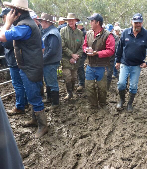 DAY FOR GUMBOOTS: "Where there is mud, there is money" proved to be true at Myrtleford last Friday. Further rain, across a large area, created strong competition to create some excellent results.