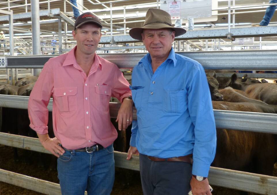 Elders Albury's, Matt Tinkler, purchased some of John Hawkins, Woolama Past Co, Finley, cows & calves at Wodonga. Matt paid $2460 for 2nd calve Angus heifers. 
