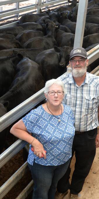 John & Judy Paterson, Tallangatta South, were awarded the Rural Finance "Best Presented" pen this pen of 61 EU accredited steers which sold $1430 at Wodonga.