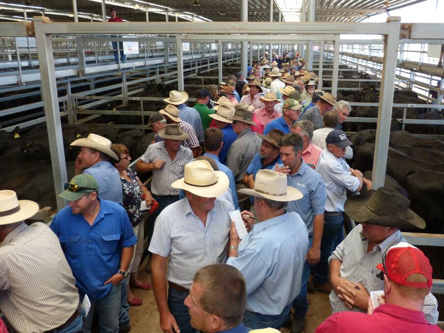 Some of the large crowd attending the Independent agents sale at Wodonga. Locals purchased many of the cattle with a buyer from Bathurst being a strong bidder.