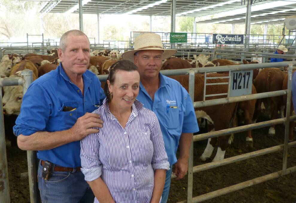 Howes Creek Hills manager, Frank Tanner with wife Joan, and Rodwells, Mansfield, agent Jamie Beckingsale in front of a pen of Poll Hereford steers, Allandale & Days Blood steers, that sold for $1340 at Yea, Friday.