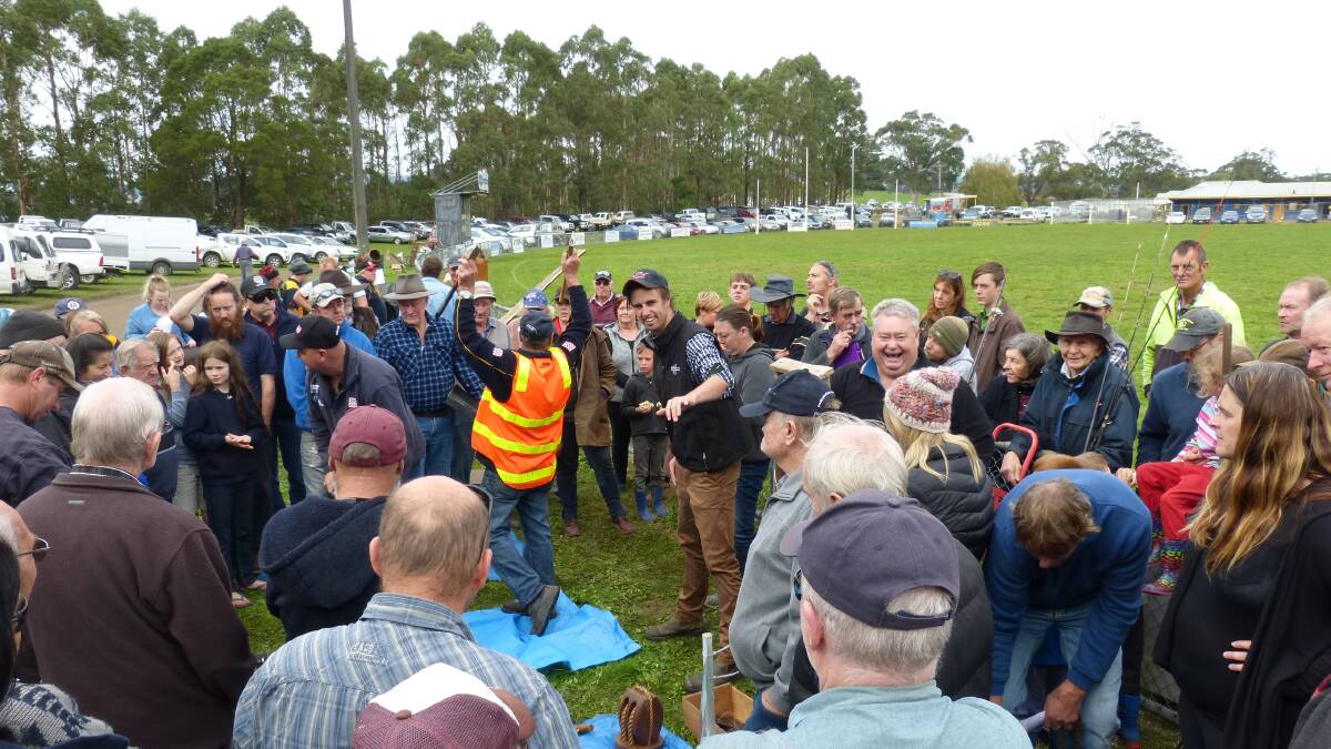 Auctioneer, Andy Mumford, tries to extract another bid from the crowd, at the annual Darnum-Ellinbank CFA fundraiser, Sunday, while his support team assist.