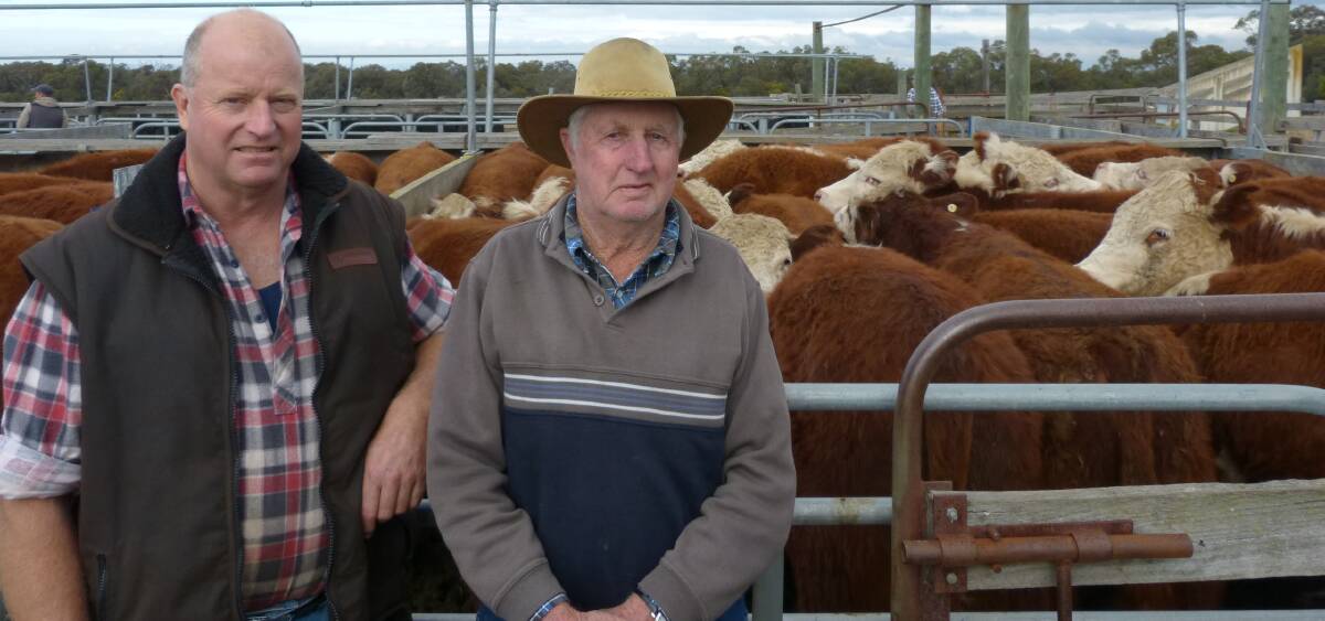 Strong prices: Glen and Bill Cumming, 
Glenmaggie, sold Hereford weaners at 
Rodwells Heyfield, up to $1260.