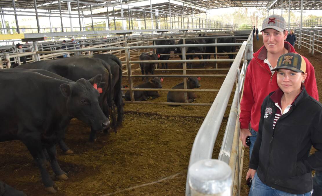 Luke & Jess Jackson, Glenaroua, purchased these heifers for $1140 at Yea, Friday.