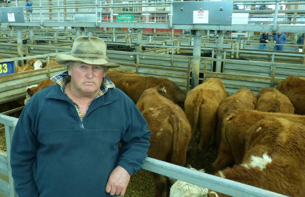 Barry Reid, Heyfield, had to off load some cattle, as the poor conditions have left him without grass. Barry has more at home and it is prudent to make some room.  He sold 35 Hereford & Angus steers to $1175. Despite a large crowd, prices were cheaper for some cattle.